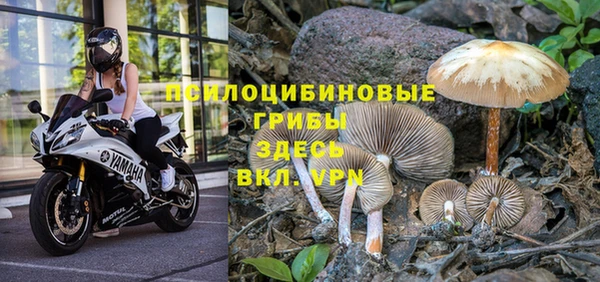 МДМА Алексеевка