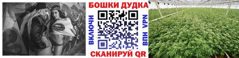 Бошки Шишки AK-47  купить закладку  Дно 